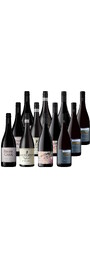 StarDozen – 97 Point Pinot Noir Collection