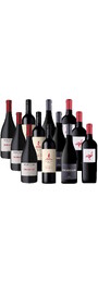 StarDozen – 97 Point Shiraz Collection
