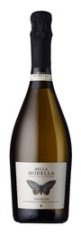 Modella Prosecco Nv`