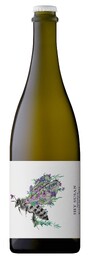 Shy Susan Blanc De Blancs 2018`