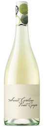 Sweet Caroline Pinot Grigio`