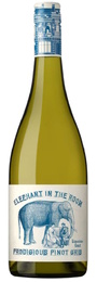 Elephant In The Room Pinot Gris`