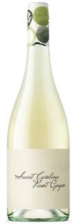 Sweet Caroline Pinot Grigio`