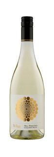 Mr Riggs Mrs Pinot Gris 2024`