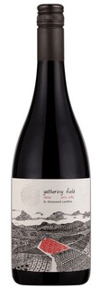Thousand Candles Gathering Field Shiraz 2022